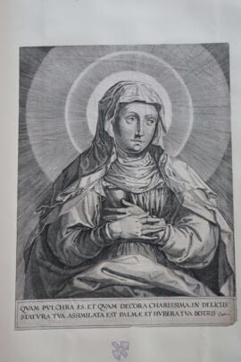 The Virgin